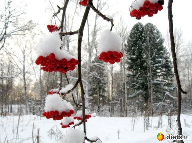 Фото моей юности..., альбом: Для души.