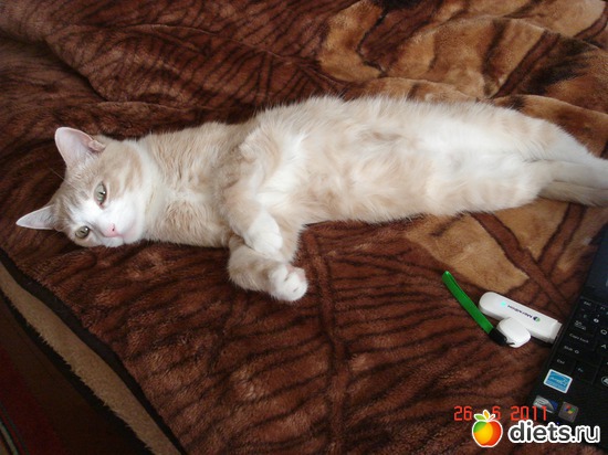 10 фото: Усатые - полосатые