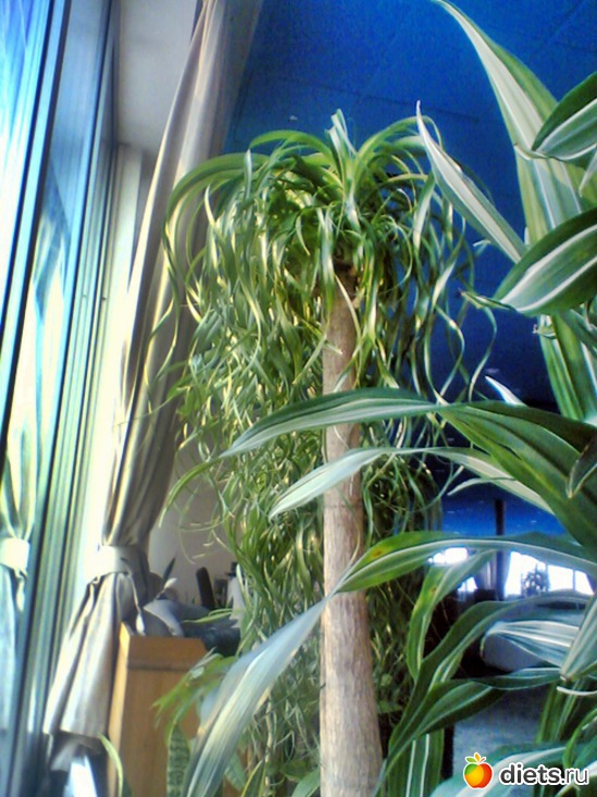 16 ����: ��� ������ (������)