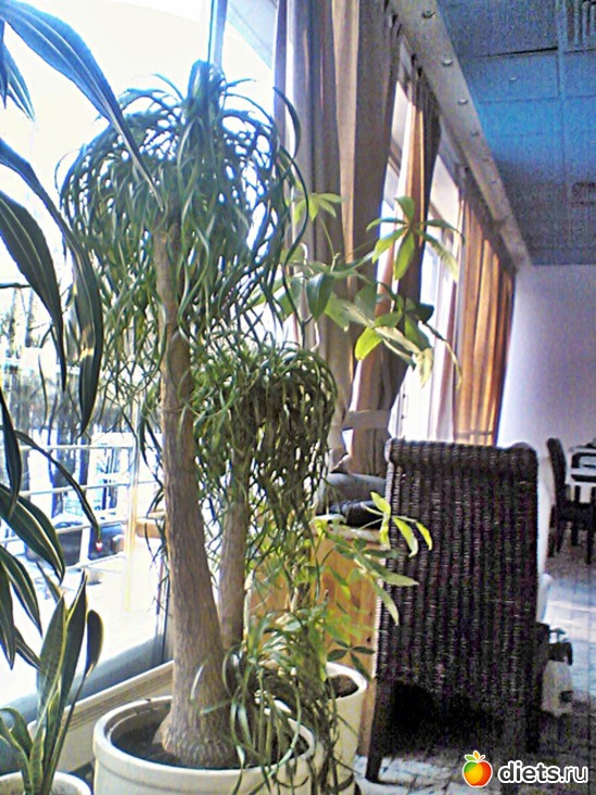 18 ����: ��� ������ (������)