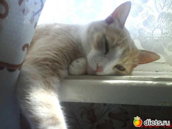 1 фото: Усатые - полосатые