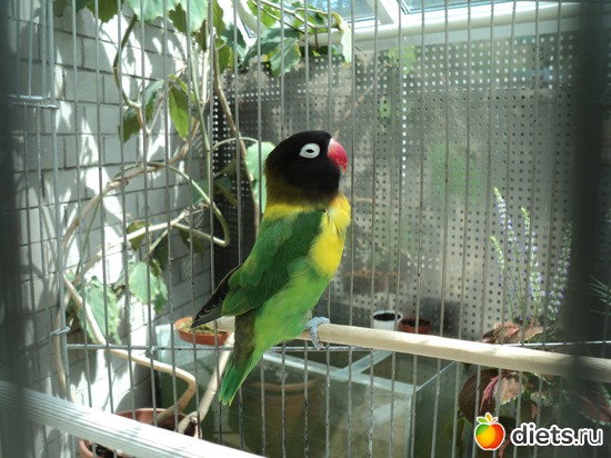 6 ����: � ������������ ����