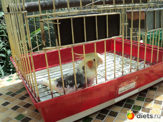 7 ����: � ������������ ����