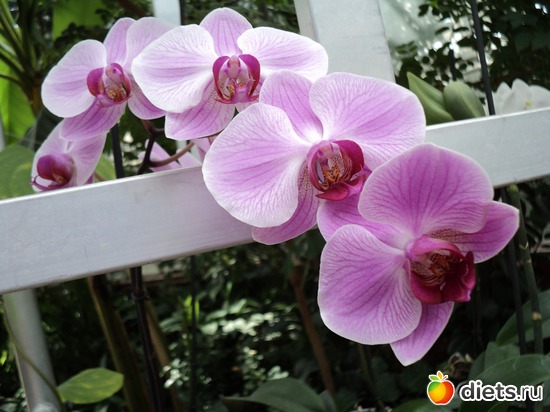 8 ����: � ������������ ����