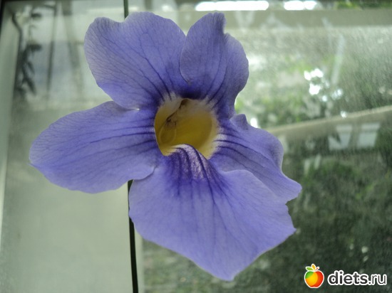 9 ����: � ������������ ����