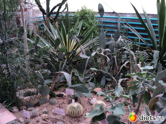 10 ����: � ������������ ����