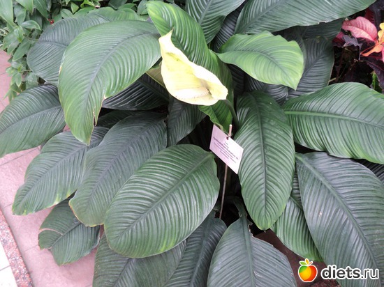 11 ����: � ������������ ����