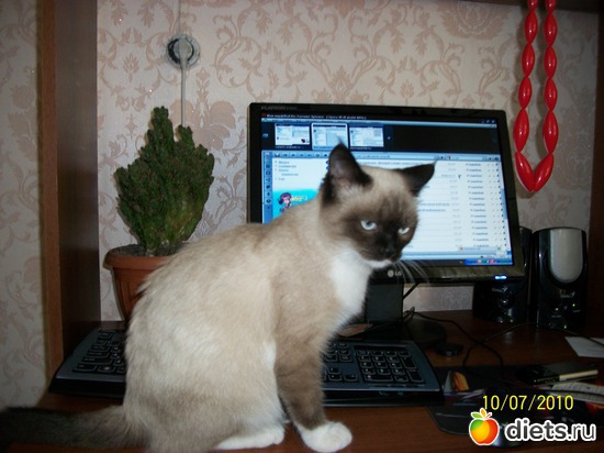 ������-�������� �����, ������: � � ��� �����