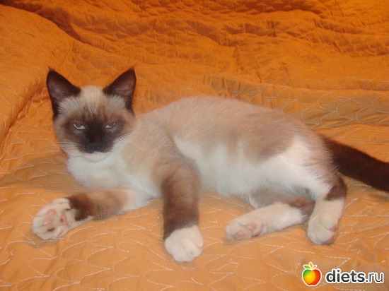 6 ����: � � ��� �����