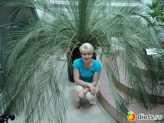 14 ����: � ������������ ����