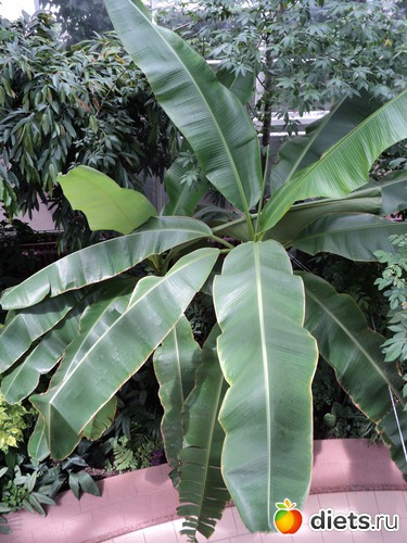 15 ����: � ������������ ����