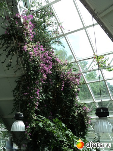 16 ����: � ������������ ����