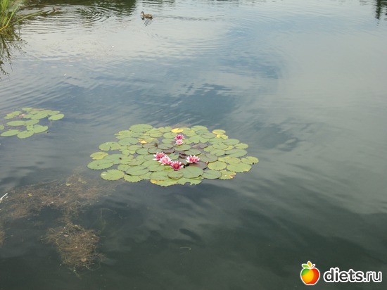 19 ����: � ������������ ����