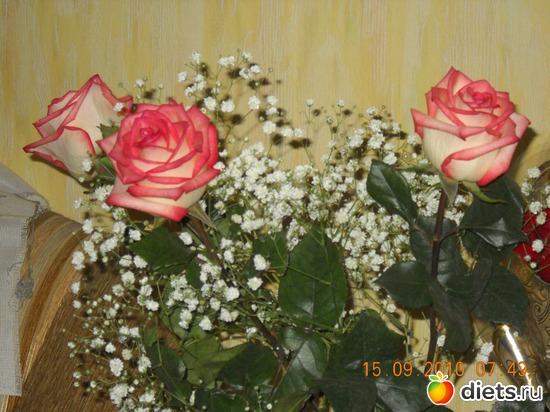 15 фото: мои цветочки