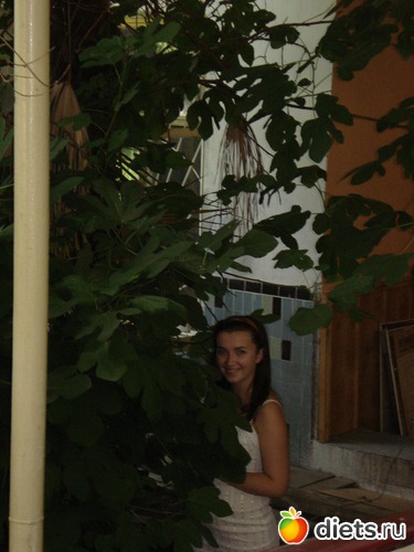 3 ����: �������