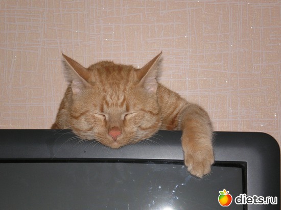 6 ����: ��� ����