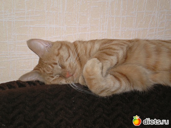 8 ����: ��� ����