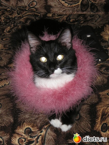 9 ����: ��� ����