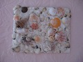 Коллаж из ракушек