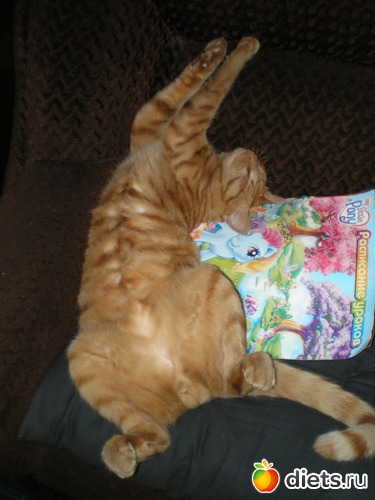 13 ����: ��� ����