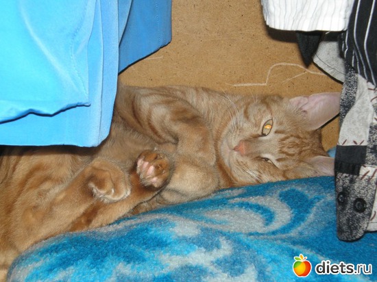 14 ����: ��� ����