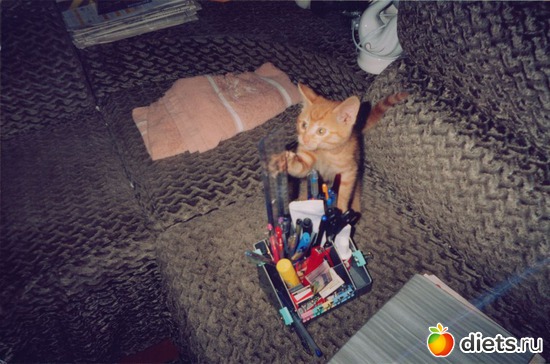 15 ����: ��� ����