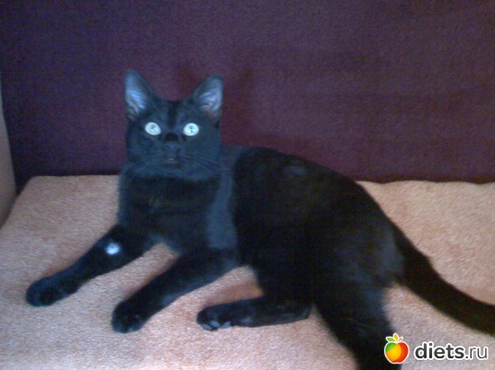 18 ����: ��� ����