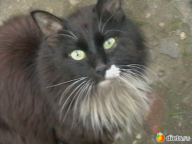 19 ����: ��� ����