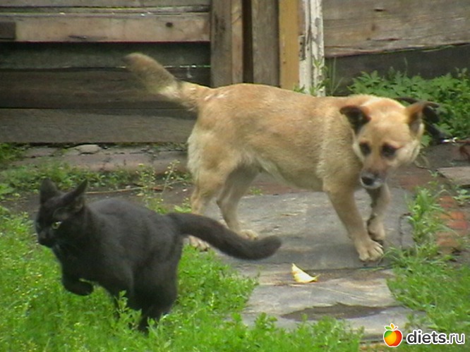 20 ����: ��� ����