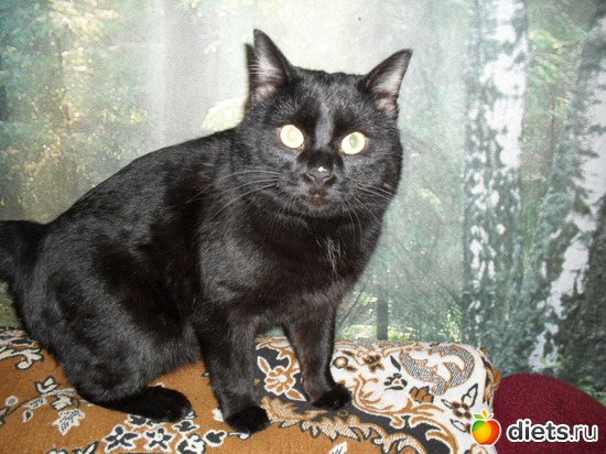 22 ����: ��� ����