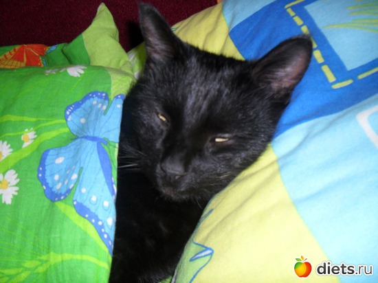 23 ����: ��� ����