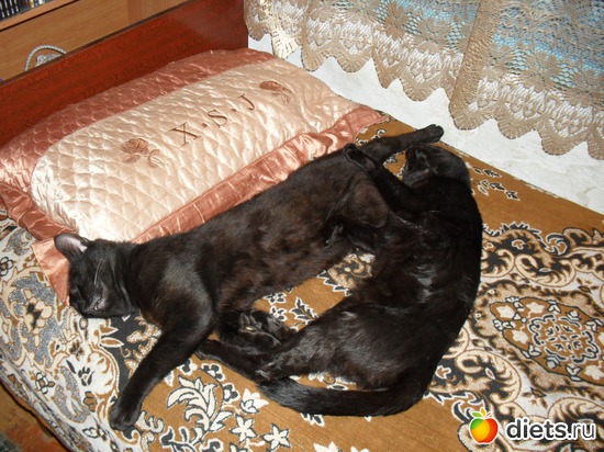 24 ����: ��� ����