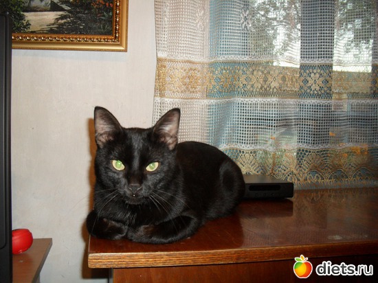 25 ����: ��� ����