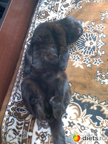 �����, ������: ��� ����