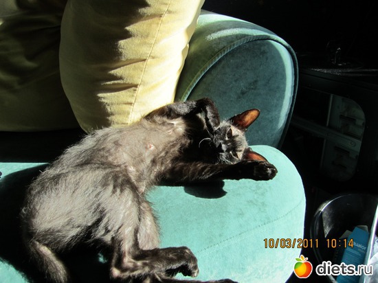 3 ����: ���� �������