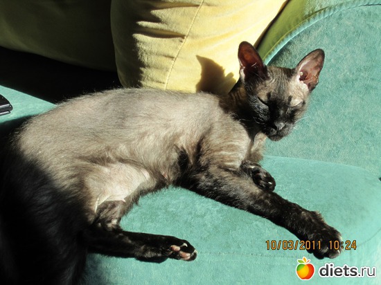 4 ����: ���� �������