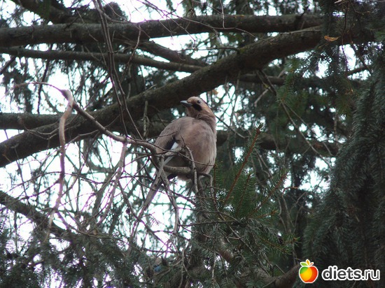 30 ����: ������� �����