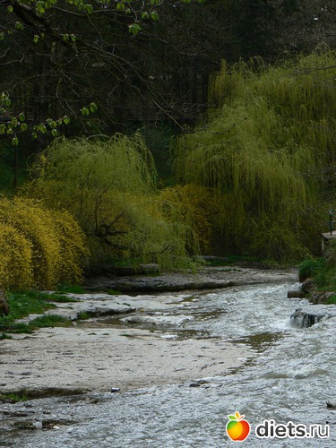 31 ����: ������� �����