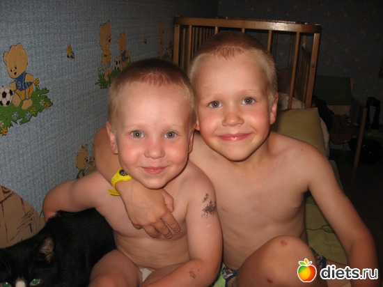 ����� (6 ���), ���� (4 ����), ������: �����-�������