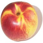 Моя сладкая слабость