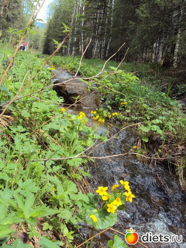 2 ����: ������