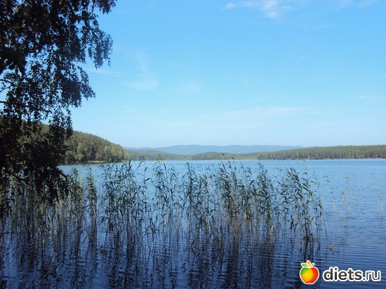 6 ����: ������