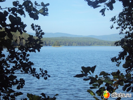 7 ����: ������