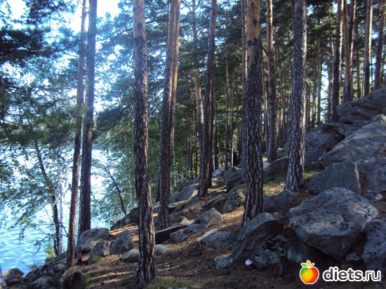 8 ����: ������