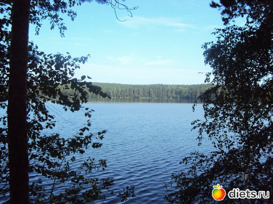 9 ����: ������