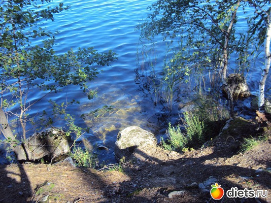 10 ����: ������