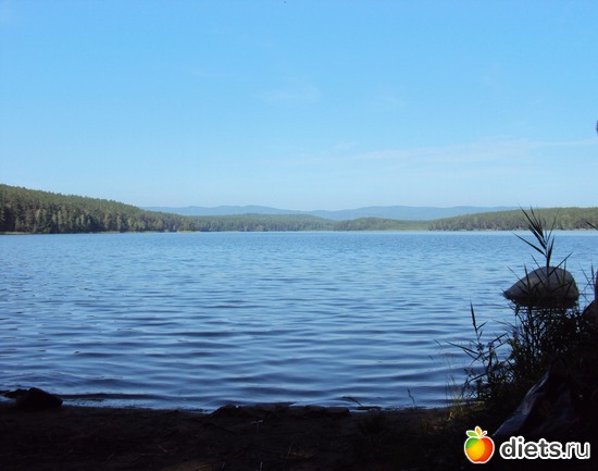 12 ����: ������