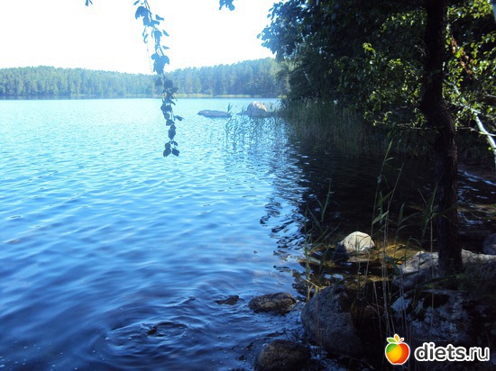 14 ����: ������