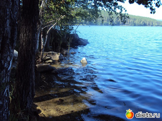 15 ����: ������