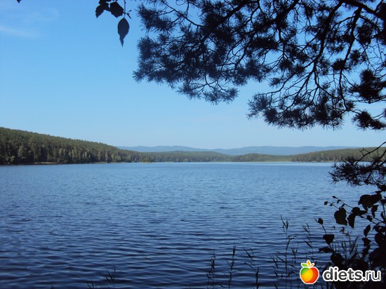 16 ����: ������